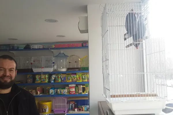 Tropikal petshop akvaryum Çerkezköy - Resim 17