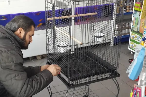 Tropikal petshop akvaryum Çerkezköy - Resim 19