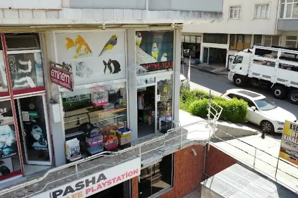 Tropikal petshop akvaryum Çerkezköy - Resim 10