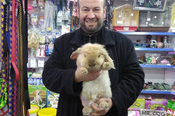 Tropikal petshop akvaryum Çerkezköy - Resim 16