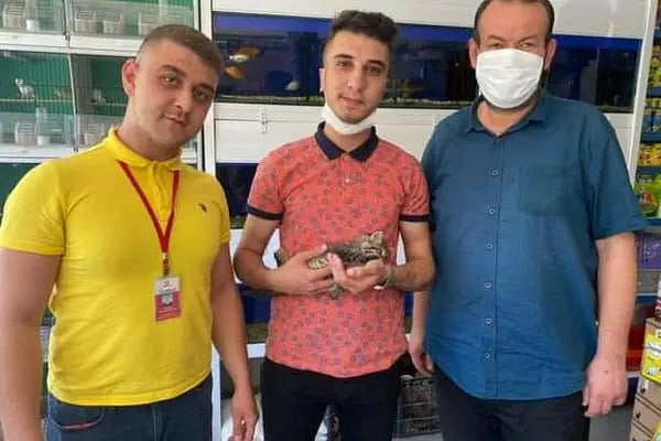 Tropikal petshop akvaryum Çerkezköy - Resim 18