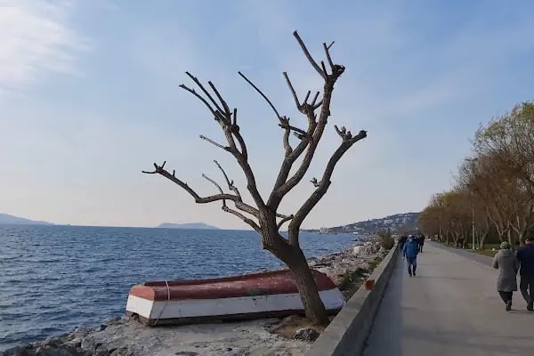 Dragos Limanı - Resim 17