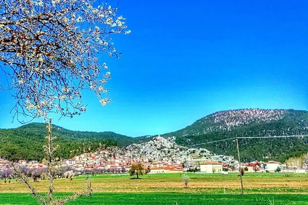 Atatürk Parkı - Resim 15
