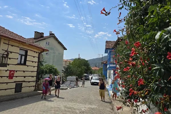 Atatürk Parkı - Resim 6