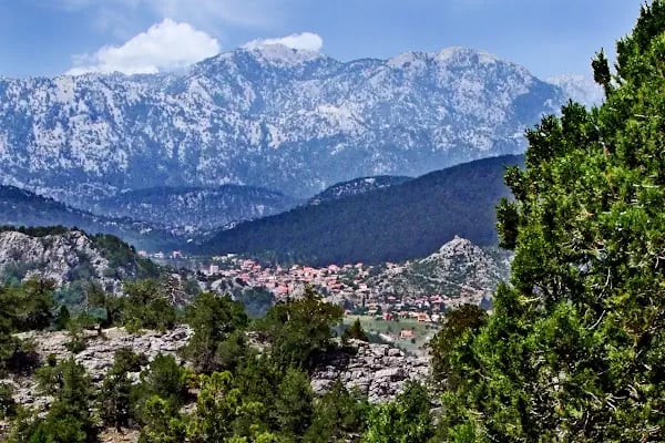 Atatürk Parkı - Resim 14