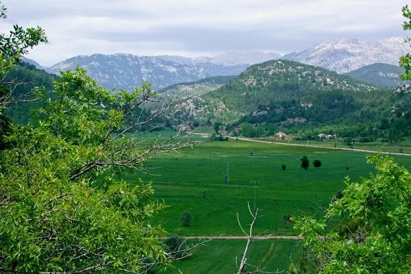 Atatürk Parkı - Resim 18