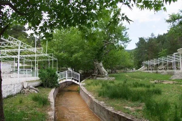 Atatürk Parkı - Resim 13