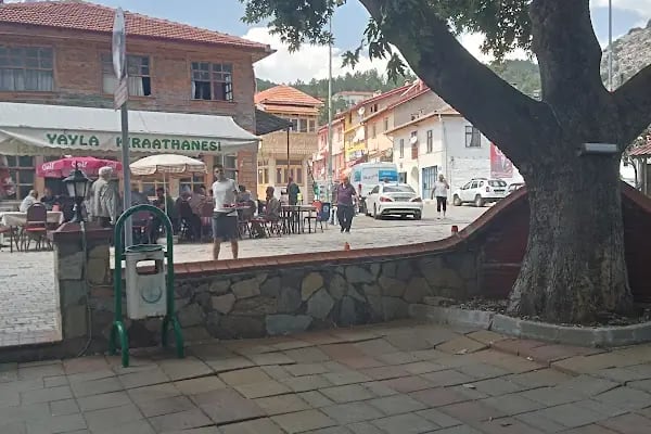 Atatürk Parkı - Resim 12