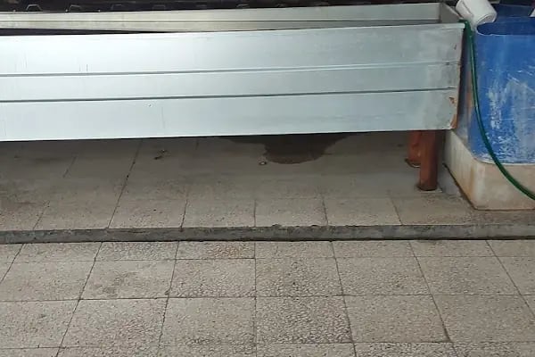 Ziya Halı ve Koltuk Yıkama Fabrikası - Resim 4