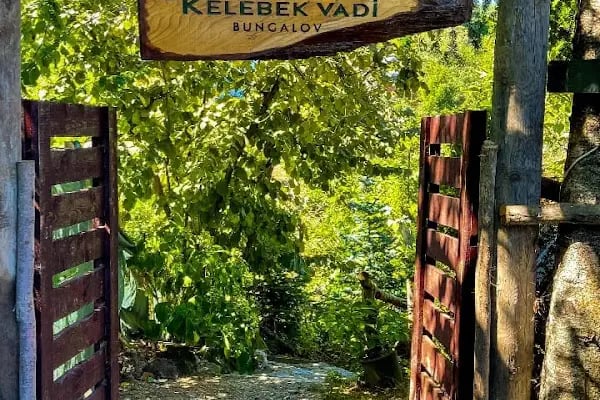 sapancakelebekvadibungalov - Resim 15
