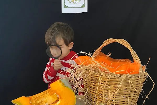 Özel Çocuk Dünyası Anaokulu - Resim 15