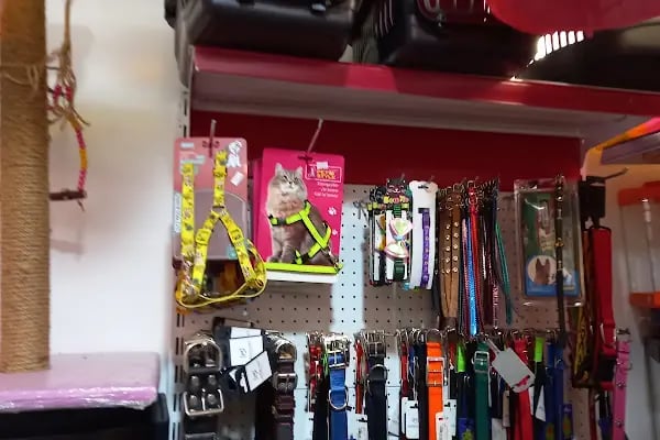 Mirket Pet Market - Resim 11