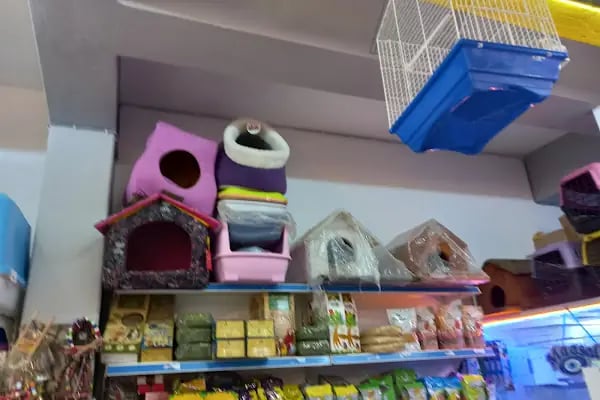Mirket Pet Market - Resim 7