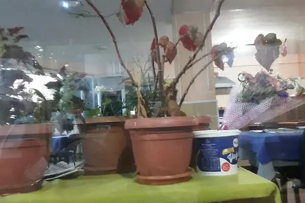 KİNG CAFE - Resim 8