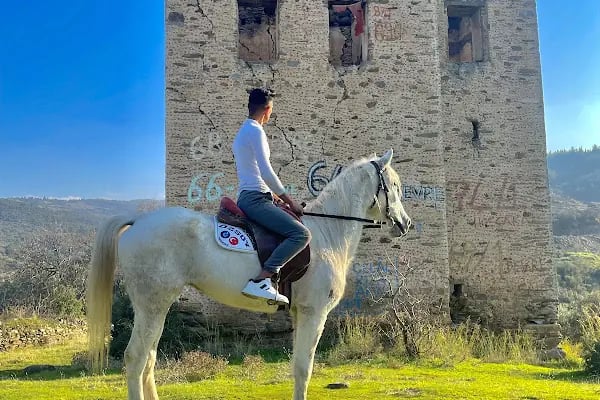 TabiAt Ana At Çiftliği - Resim 11