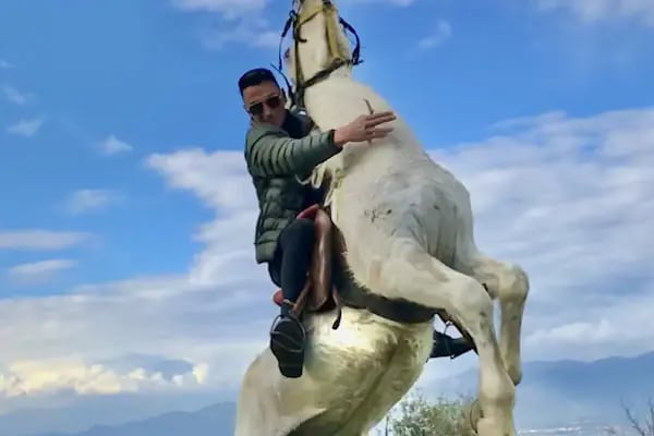 TabiAt Ana At Çiftliği - Resim 8