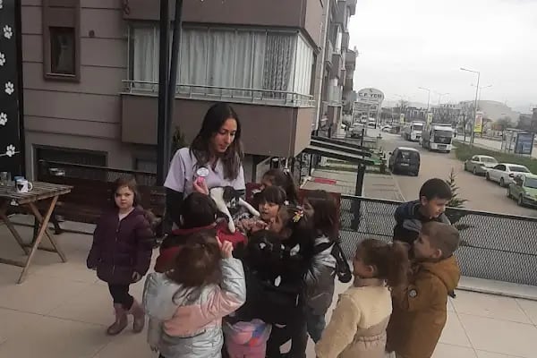 Vena Veteriner Kliniği - Resim 13