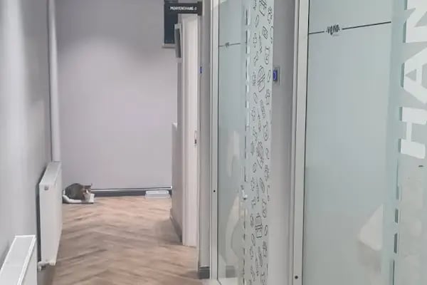 Vena Veteriner Kliniği - Resim 20