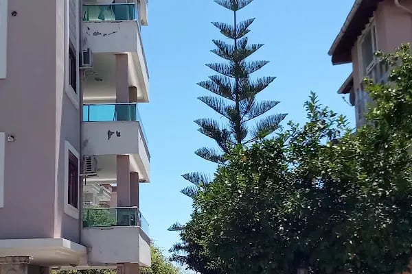 Gazi Çocuk Parkı - Resim 10