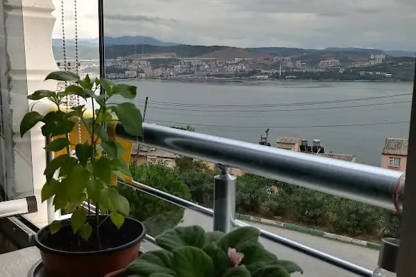 Sefa Çay Bahçesı - Resim 10