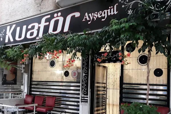 Bayan Kuaförü Ayşegül - Resim 2