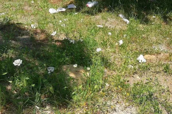 Tatarcık Parkı - Resim 20