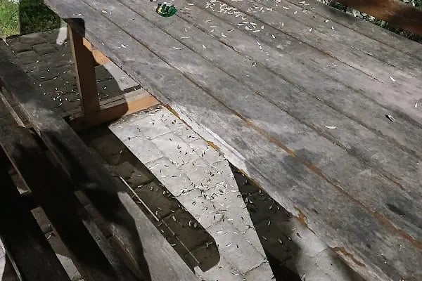 Tatarcık Parkı - Resim 12