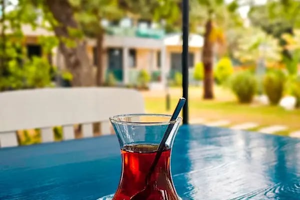 Elasu Bodrum Otel - Resim 12