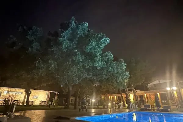 Elasu Bodrum Otel - Resim 10