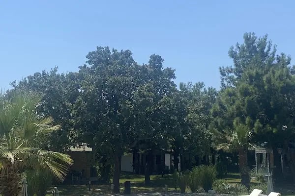 Elasu Bodrum Otel - Resim 5