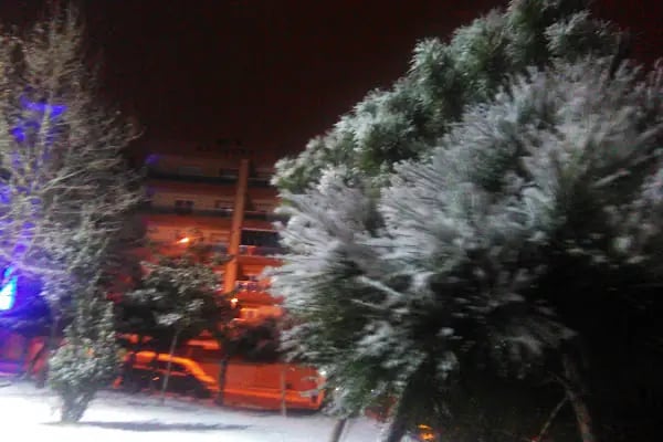 Polis Amca Parkı - Resim 19