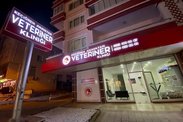 Keçiören Anavatan Veteriner Kliniği - Resim 19