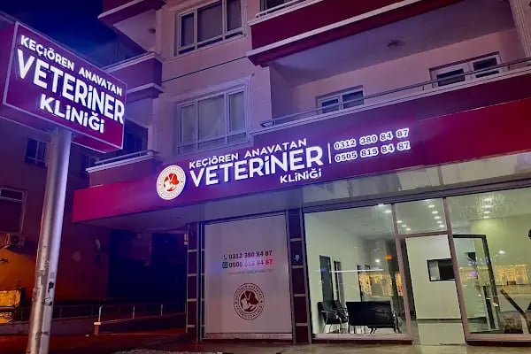 Keçiören Anavatan Veteriner Kliniği - Resim 1