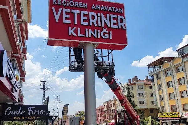 Keçiören Anavatan Veteriner Kliniği - Resim 8