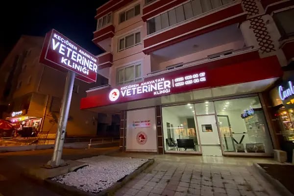 Keçiören Anavatan Veteriner Kliniği - Resim 20