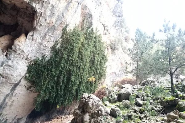 Kocain Mağarası - Resim 16