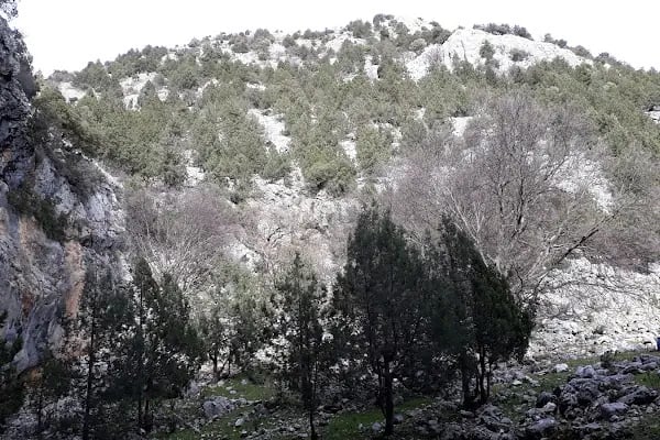 Kocain Mağarası - Resim 19