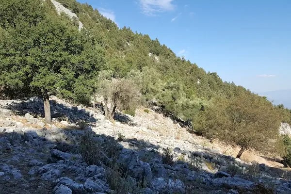 Kocain Mağarası - Resim 13