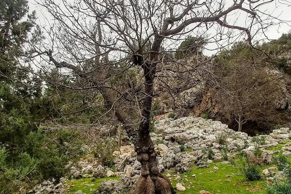 Kocain Mağarası - Resim 10