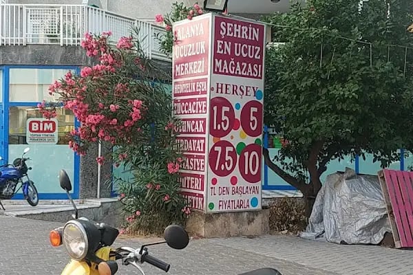 Dilek Grup Alanya Şube - Resim 2
