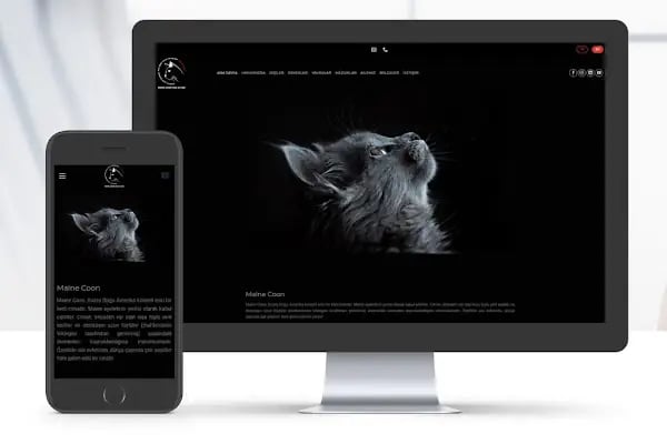 Abatay Web Ajansı - Resim 8