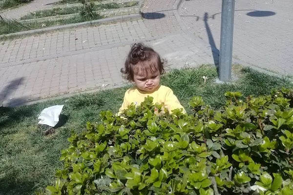 Milli Egemenlik Parkı - Resim 14