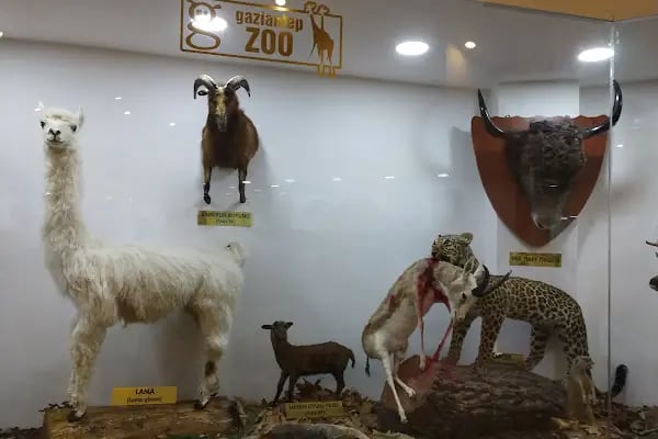 Gaziantep Hayvanat Bahçesi Binicilik &amp; Pony Club - Resim 4