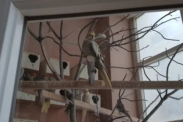 Gaziantep Hayvanat Bahçesi Binicilik &amp; Pony Club - Resim 19