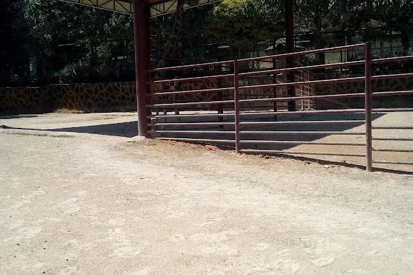 Gaziantep Hayvanat Bahçesi Binicilik &amp; Pony Club - Resim 9