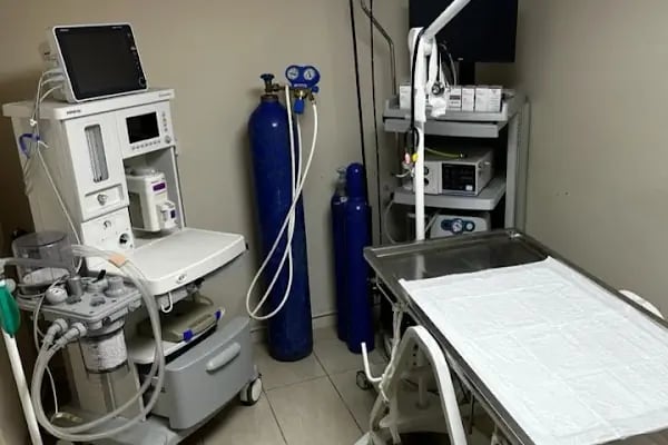 Kuzey Veteriner Kliniği - Resim 2