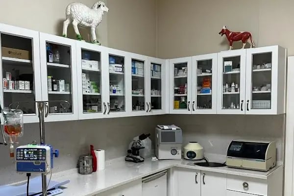 Kuzey Veteriner Kliniği - Resim 10