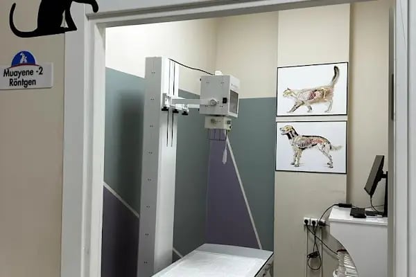 Kuzey Veteriner Kliniği - Resim 3