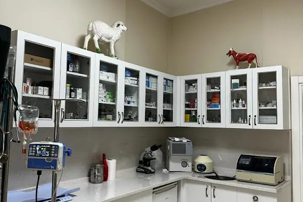 Kuzey Veteriner Kliniği - Resim 9