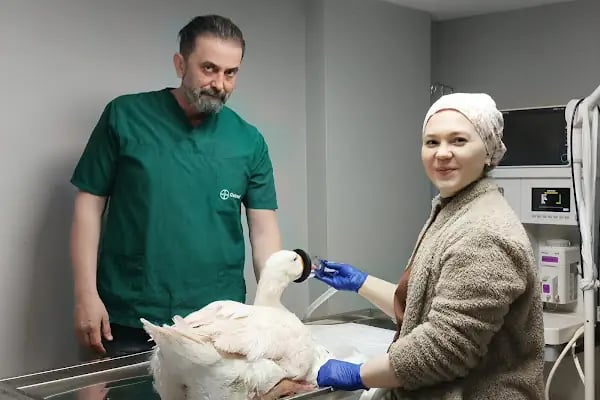 Kuzey Veteriner Kliniği - Resim 7